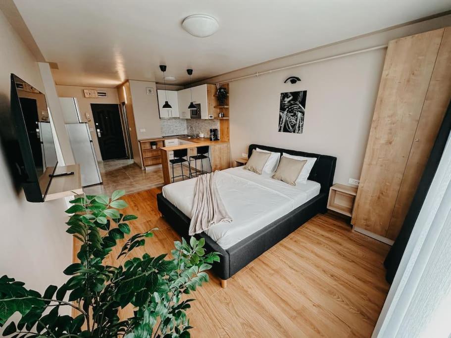 Apartamento Agoll Victoria - Self Checkin Resita Exterior foto