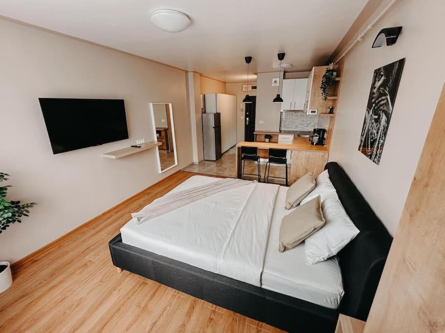 Apartamento Agoll Victoria - Self Checkin Resita Exterior foto